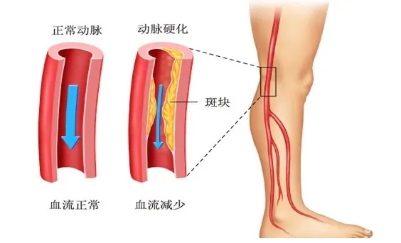 640.webp (76).jpg