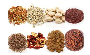 640 (1).webp (20).png