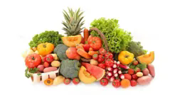 640 (1).webp (29).png