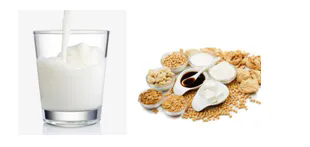 640 (1).webp (31).png