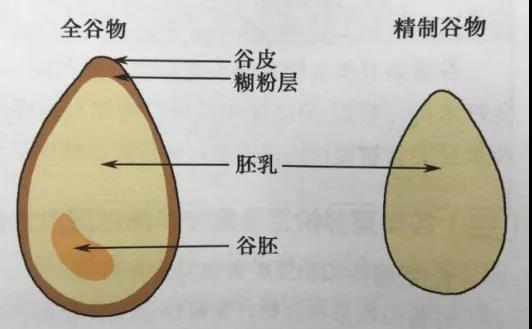 1627432031518048391.jpg 微信图片_20210728082404.jpg