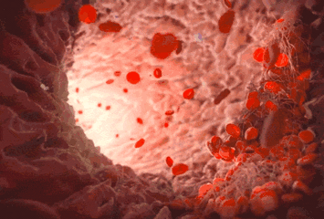 1660808531543048336.gif 微信图片_20220818154401.gif