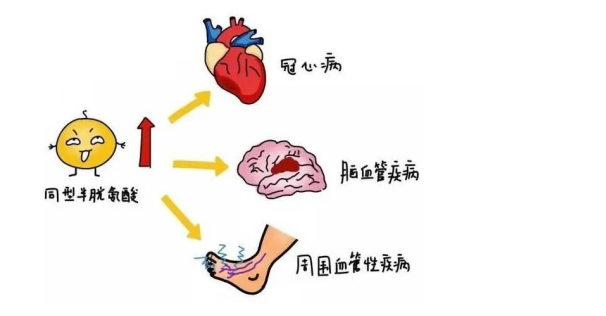 1700710515995044066.png 640 (5).png