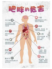 1726715036139072032.png 640 (1).webp (1).png