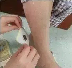 1733715897534048894.png